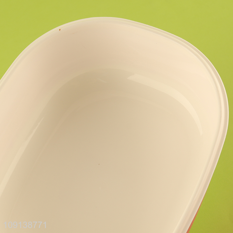 New Arrival Plastic Bento Lunch Box Kids Adults Lunch Box with Handle