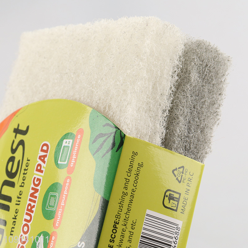 Factory Price 2 Packs Reusable Non-Scratch Scouring Pads for Cleaning