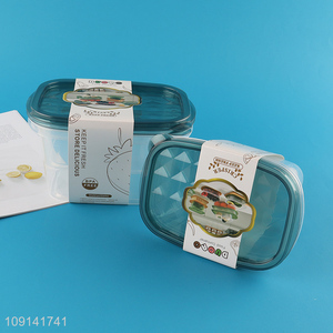 High Quality 2 Pieces Plastic Food Storage Containers Fresh-Keeping Box Set