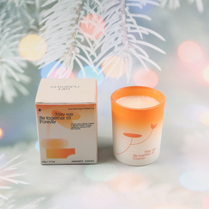 Hot selling home decor long lasting scented candle aromatherapy frosted cup