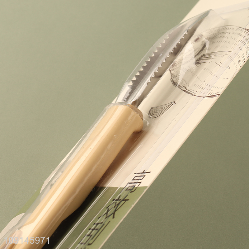 Good Quality Stainless Steel Fish Scale Remover Vegetable Fruit Peeler