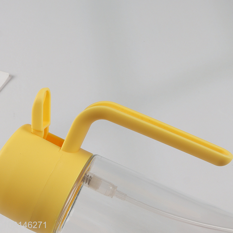 Top selling hand pressure glass fine mist spray bottle oil spray bottle