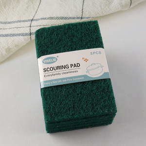 New Arrival 5 Pieces Scouring Pads Scrub Pads Dish Scrubbers for Kitchen BBQ