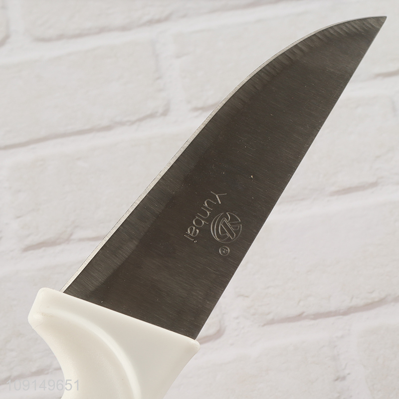 Wholesale 6 Inch Plastic Handle Stainless Steel Kitchen Knife Meat Cutting Knife