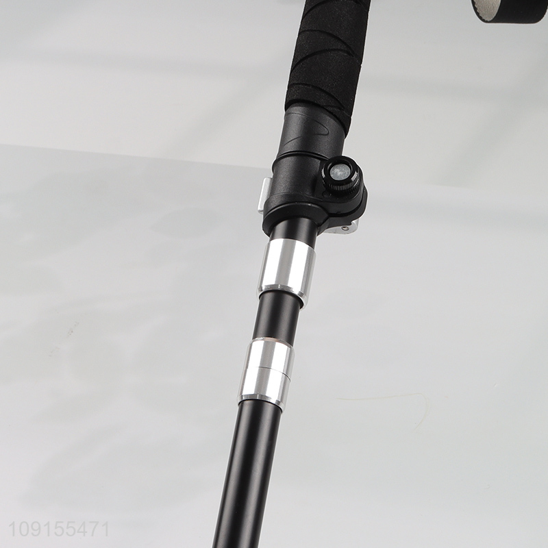 Popular products professional telescopic trekking poles walking hiking stick