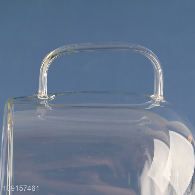 Factory supply double wall glass drinking cup water mug with handle