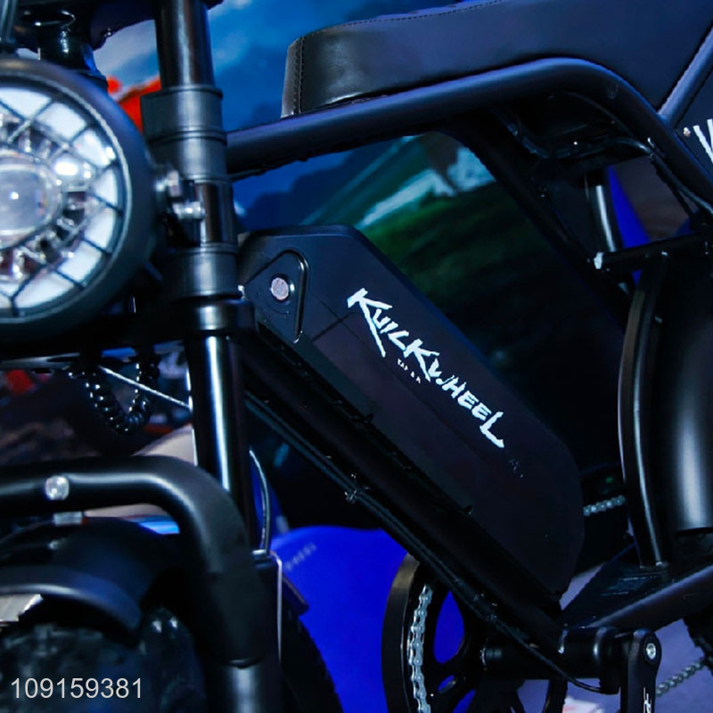 Good Quality Electric Bike E-Bike Fat Tire Electric Motorcycle for Adults