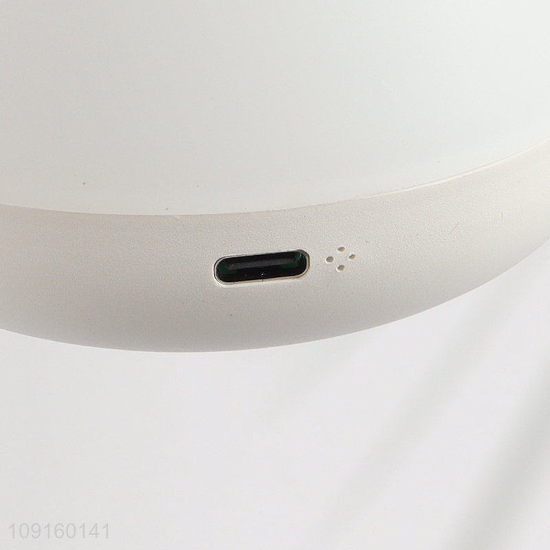 New Arrival Rose Night Light USB Rechargeable Night Lamp for Home Decor