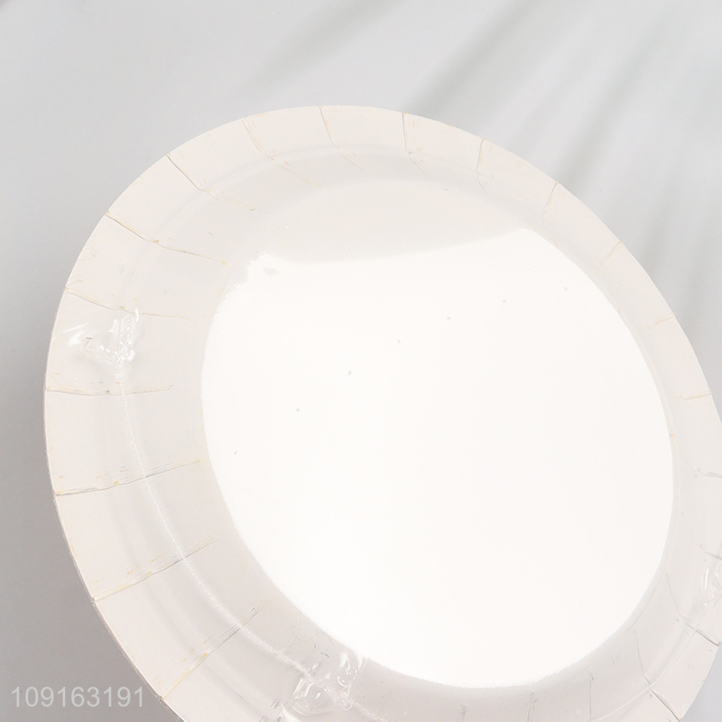 Popular Product 10 Pieces 7 Inch Disposable Party Paper Plates for Halloween Party