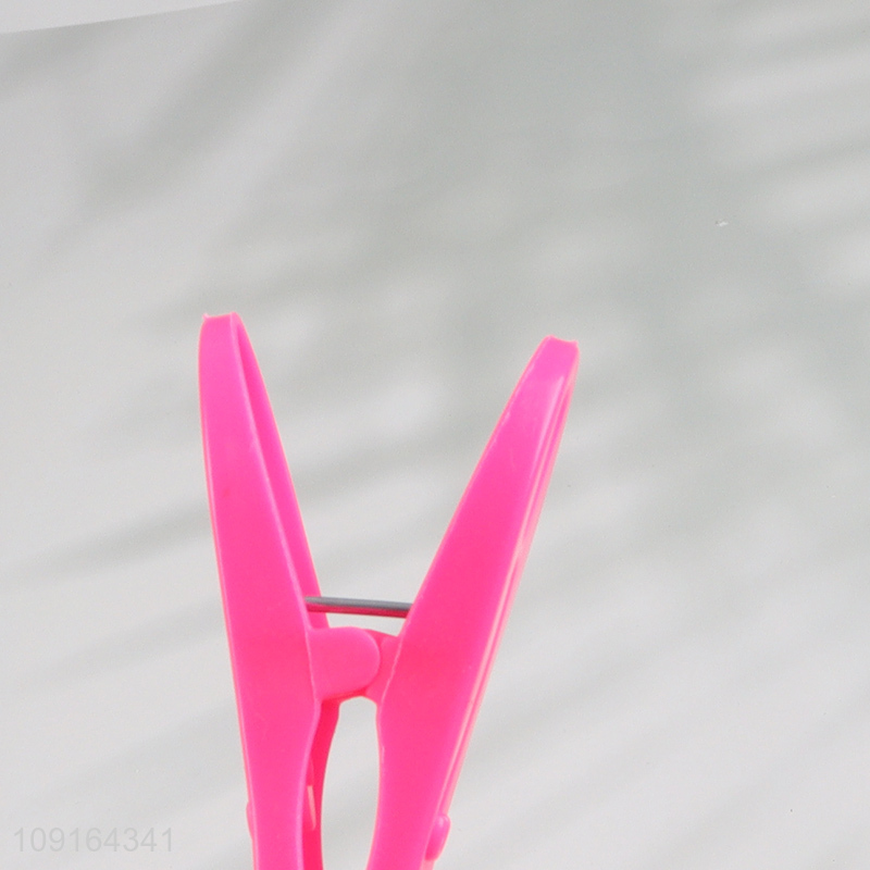 Factory Supply Household Plastic Clothes Pins and Braided Clothesline Set