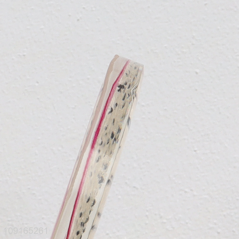 High Quality Dragon Fruit Slice Cup Coasters Round Resin Coasters