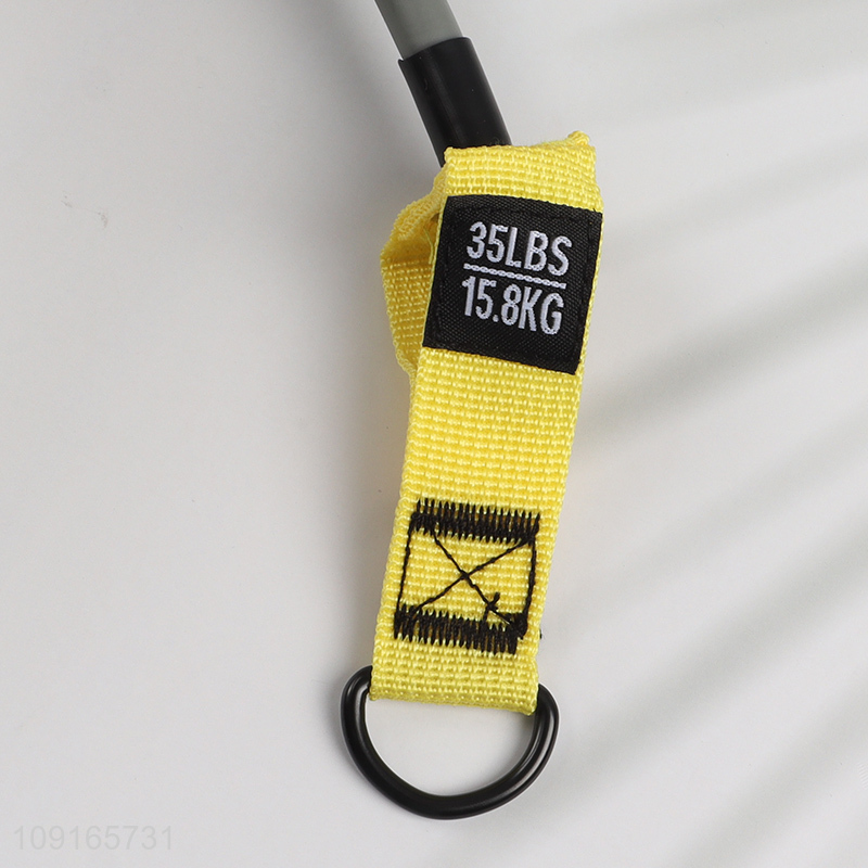 Factory Supply 12-Piece Resistance Exercise Bands Set for Gym Fitness