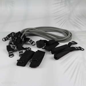 Wholesale 12-Piece Resistance Tube Bands Set Exercise Bands for Worouts