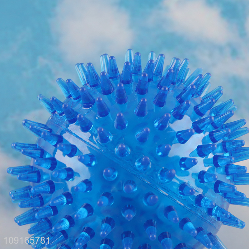 Popular products blue pet toy ball interactive training toy