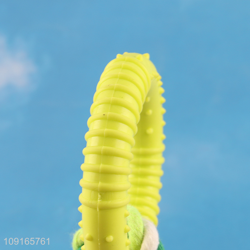 China products bite-resistant tpr pet chew toys training toys