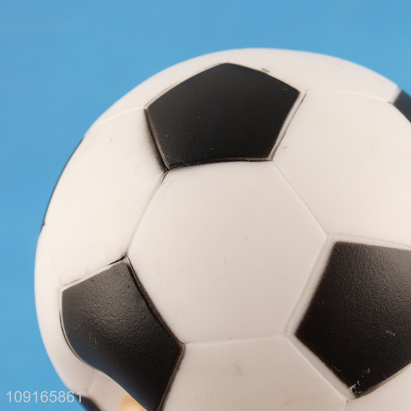 Hot selling pet ball toy indoor outdoor pet interactive toys