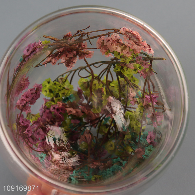 China supplier double wall dried flower glass water cup with handle