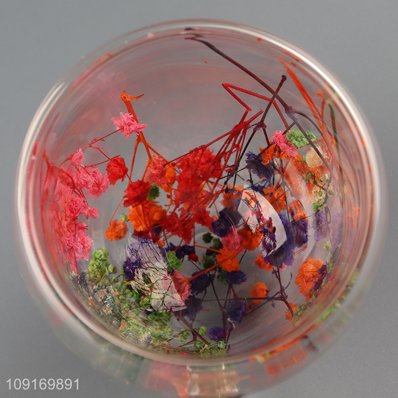 Popular products double wall dried flower glass water cup with handle
