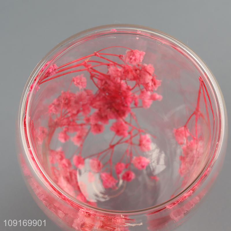 Good quality double wall dried flower glass water cup for sale