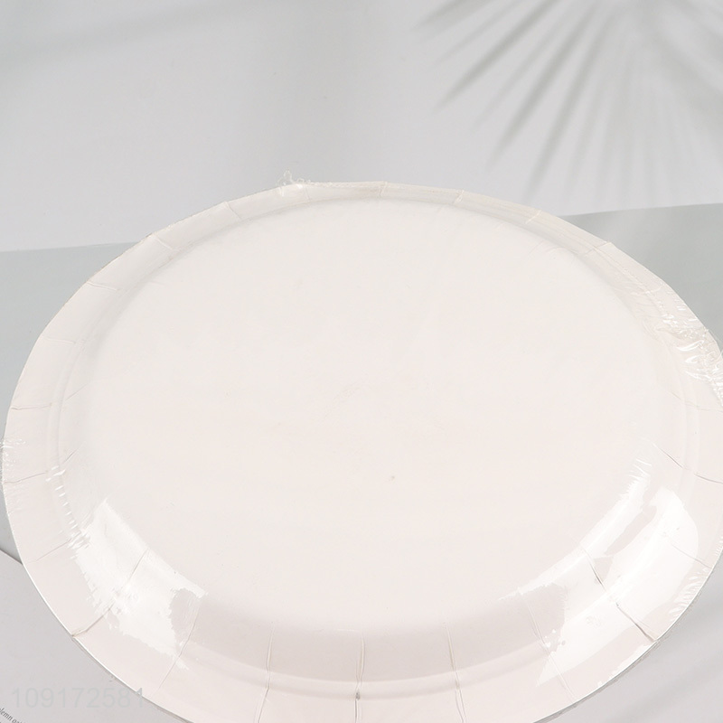 Hot Selling 10 Pieces Graduation Party Paper Plates Disposable Party Plates