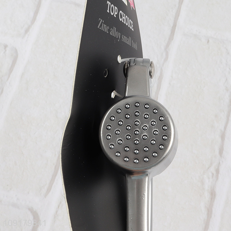 Popular Product Garlic Press Heavy Duty Stainless Steel Garlic Mincer