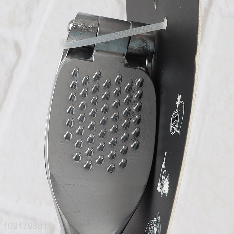 China Imports Stainless Steel Garlic Press Heavy Duty Garlic Mincer