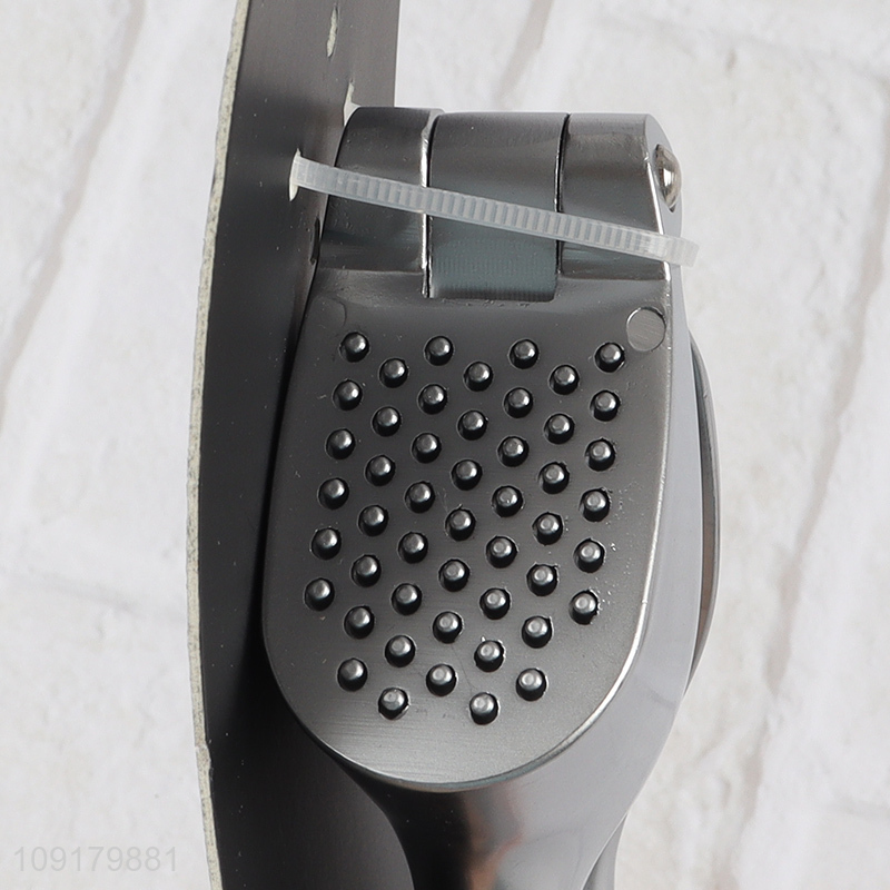 China Imports Stainless Steel Garlic Press Heavy Duty Garlic Mincer