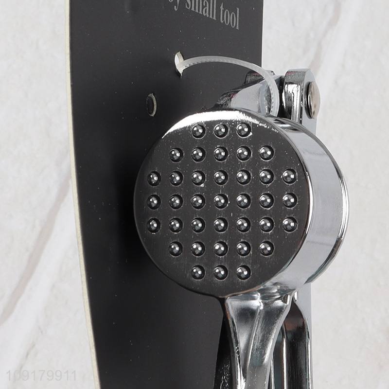 Custom Logo Garlic Press Heavy Duty Stainless Steel Garlic Mincer