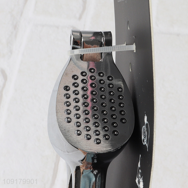 Popular Product Stainless Steel Garlic Press Durable Garlic Mincer Crusher