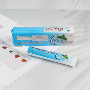 China Imports 100g Long Lasting Natural Mint Formula Toothpaste for Family
