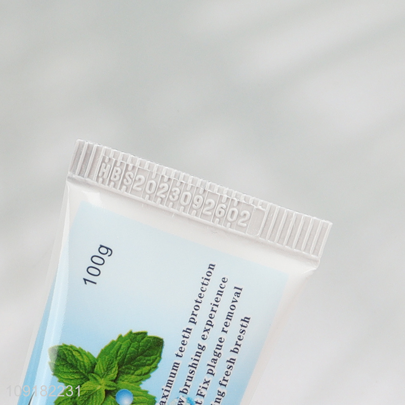 China Imports 100g Long Lasting Natural Mint Formula Toothpaste for Family