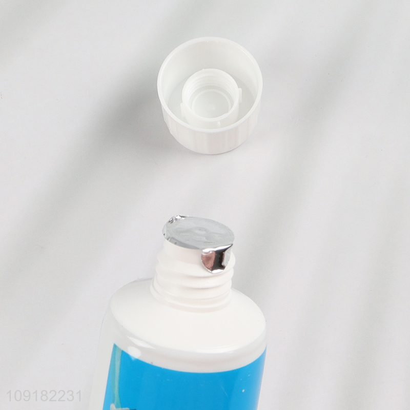 China Imports 100g Long Lasting Natural Mint Formula Toothpaste for Family