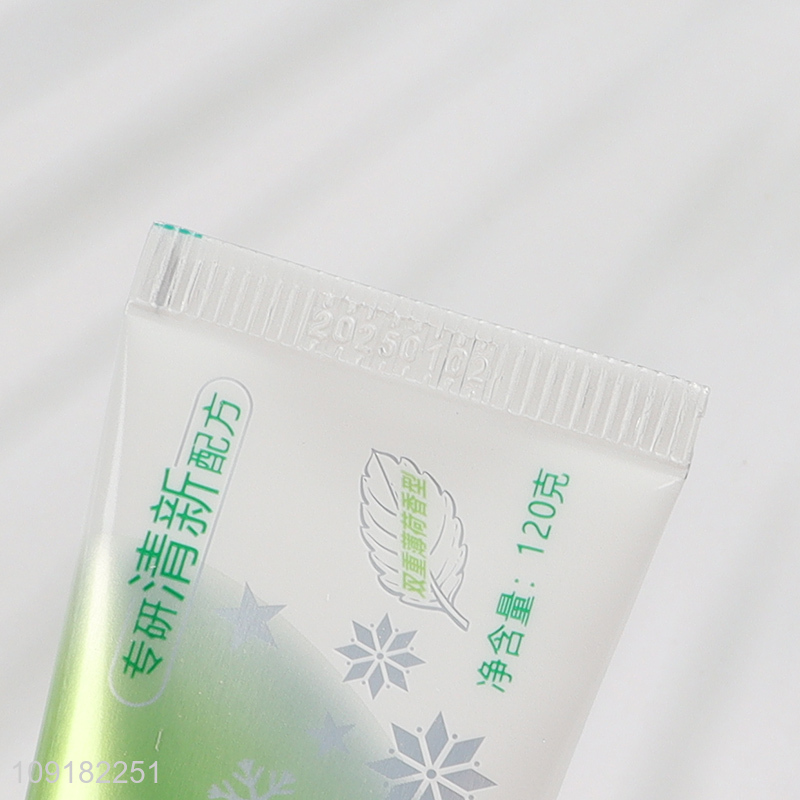 Wholesale 120g Professional Fresh Formula Toothpaste for Bad Breath