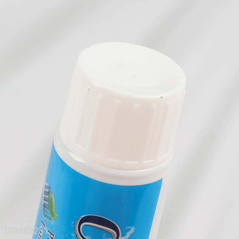 China Imports 100g Long Lasting Natural Mint Formula Toothpaste for Family