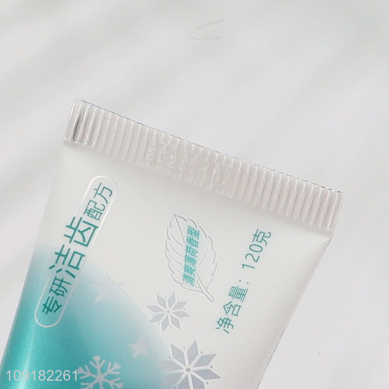 Good Quality 120g Anti Dental Calculus Toothpaste for Men and Women