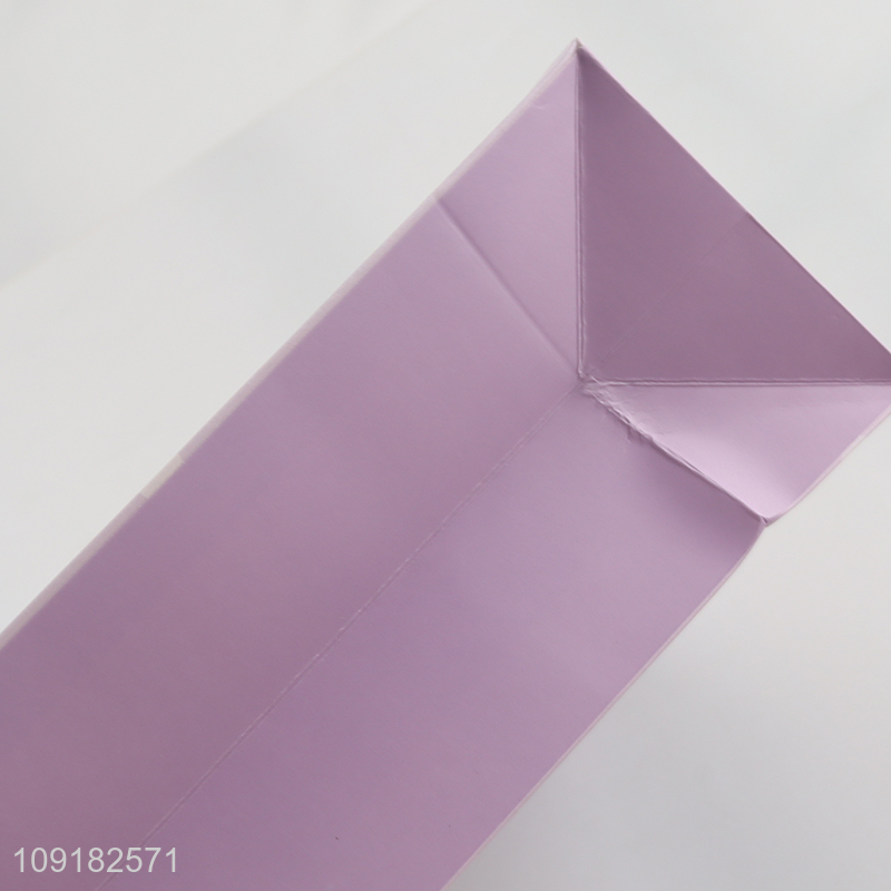 Hot selling princess eco-friendly paper bag gifts packaging bag