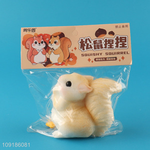 New Product Soft Squeeze Squishy TPR Sensory Toy Squishy Squirrel