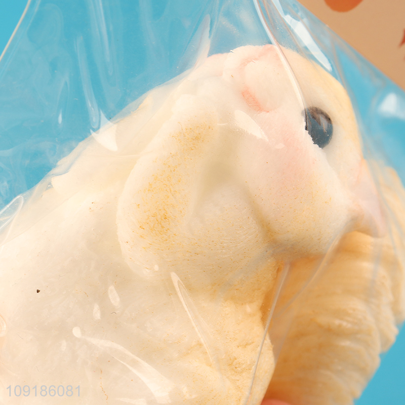 New Product Soft Squeeze Squishy TPR Sensory Toy Squishy Squirrel