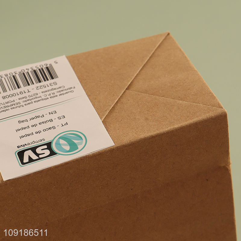 Good Quality Kraft Paper Gift Bag with Handles for Birthday Party Favors