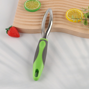 Wholesale Stainless Steel Fish Scale Remover Fish Scale Scraper for Kitchen