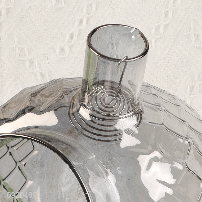 Hot selling home kitchen glass tea kettle tea pot with handle