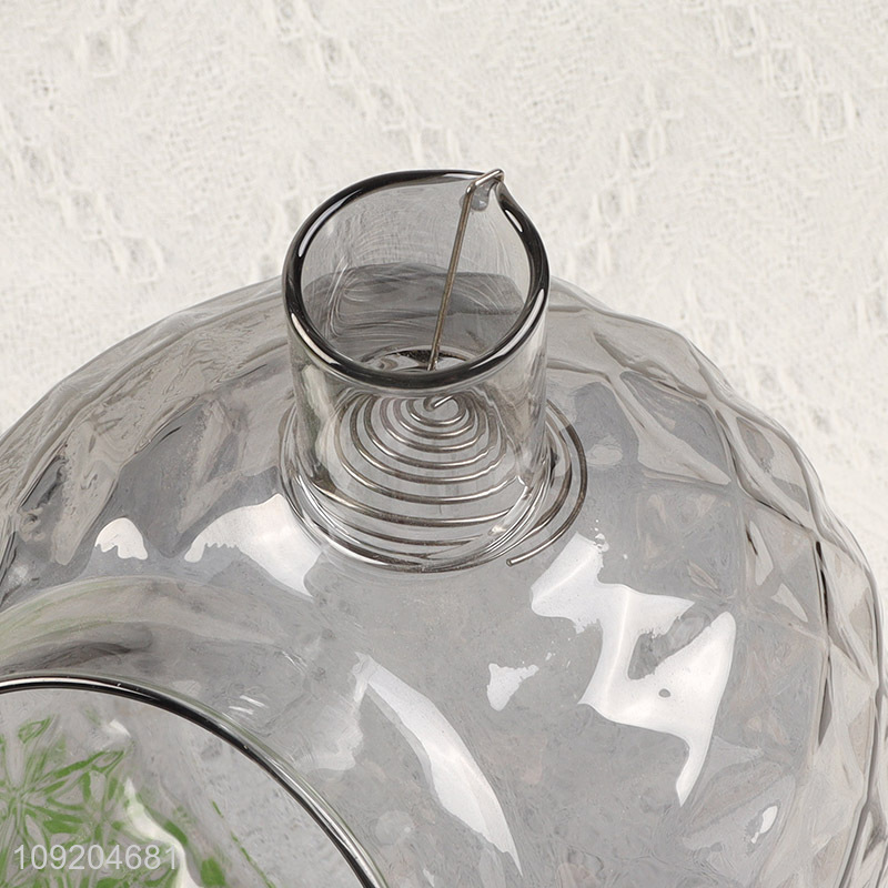 Top selling heat-resistant glass tea kettle tea pot for household