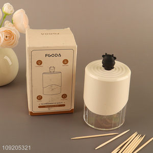 Factory Supply Cute Plastic Toothpicks Holder Plastic Toothpicks Storage Box
