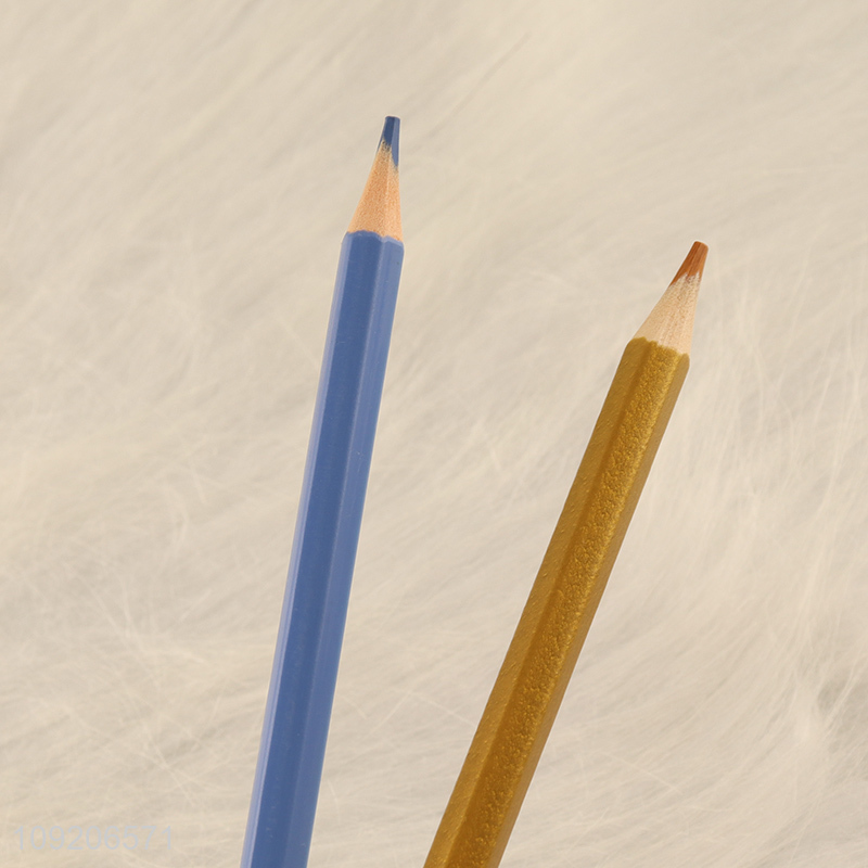 Hot Selling 12 Colored Double Sided Colored Pencils for Drawing & Coloring