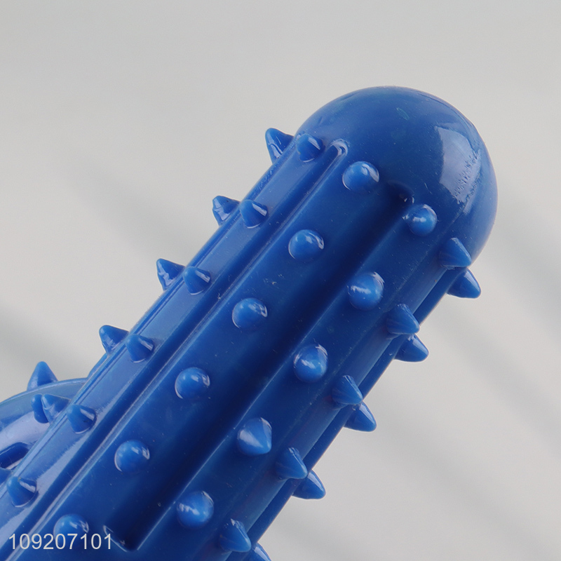 New Arrival Dog Chew Toy Cactus Shaped Dog Teething Toy