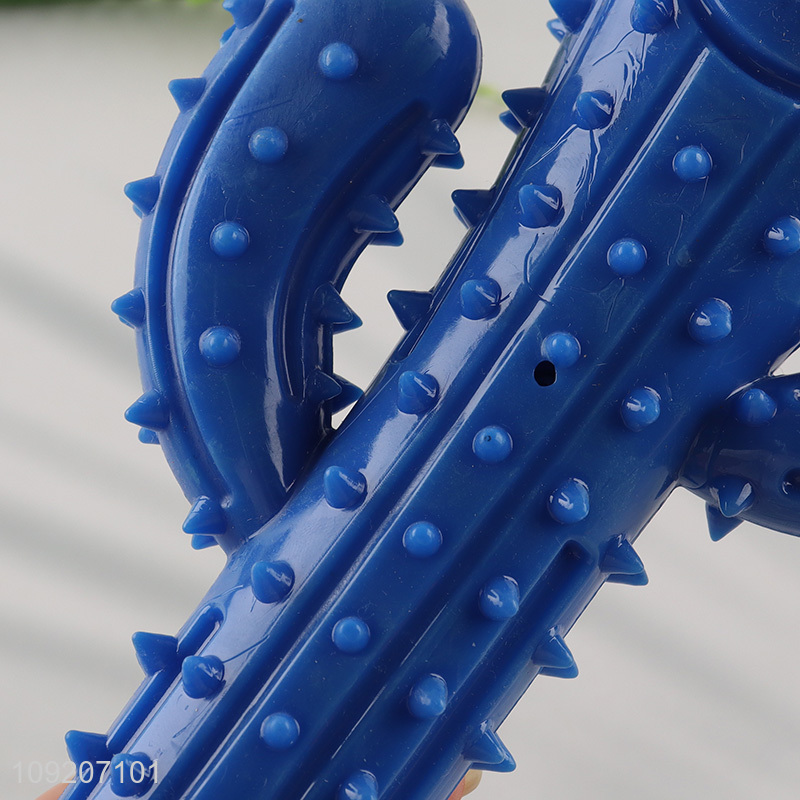 New Arrival Dog Chew Toy Cactus Shaped Dog Teething Toy