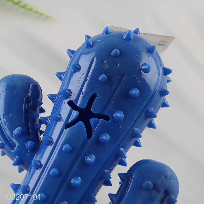 New Arrival Dog Chew Toy Cactus Shaped Dog Teething Toy