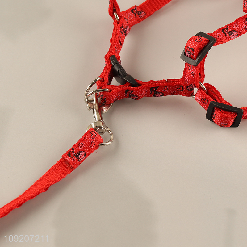 China Supplier Dog Harness and Leash Set for Walking