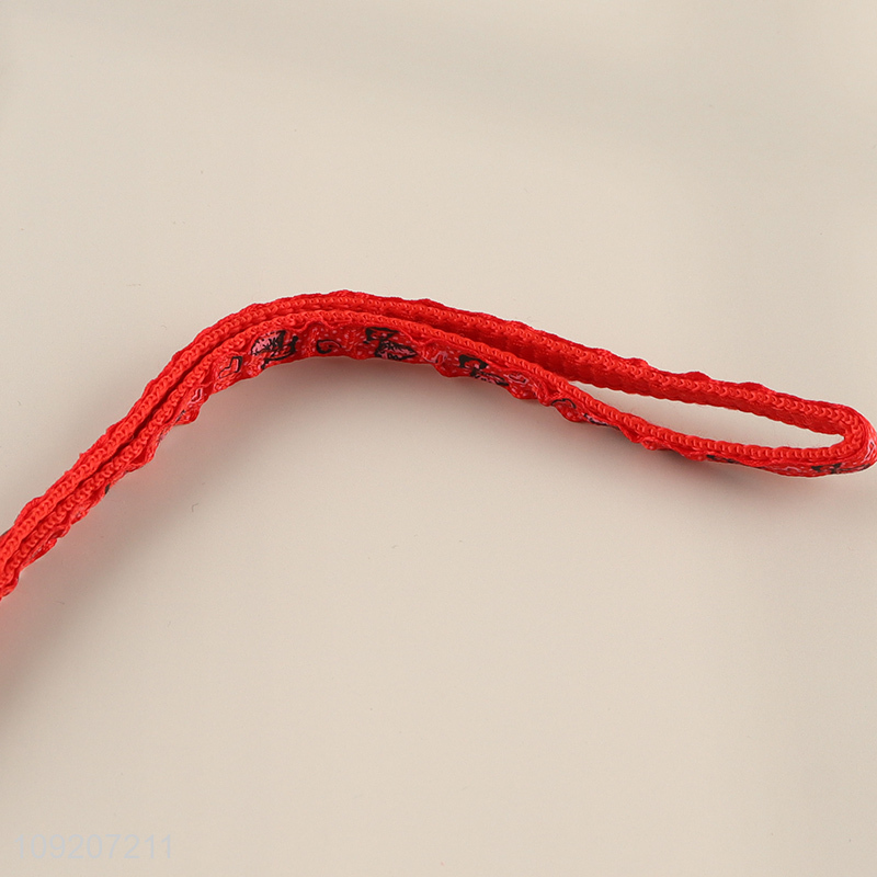 China Supplier Dog Harness and Leash Set for Walking