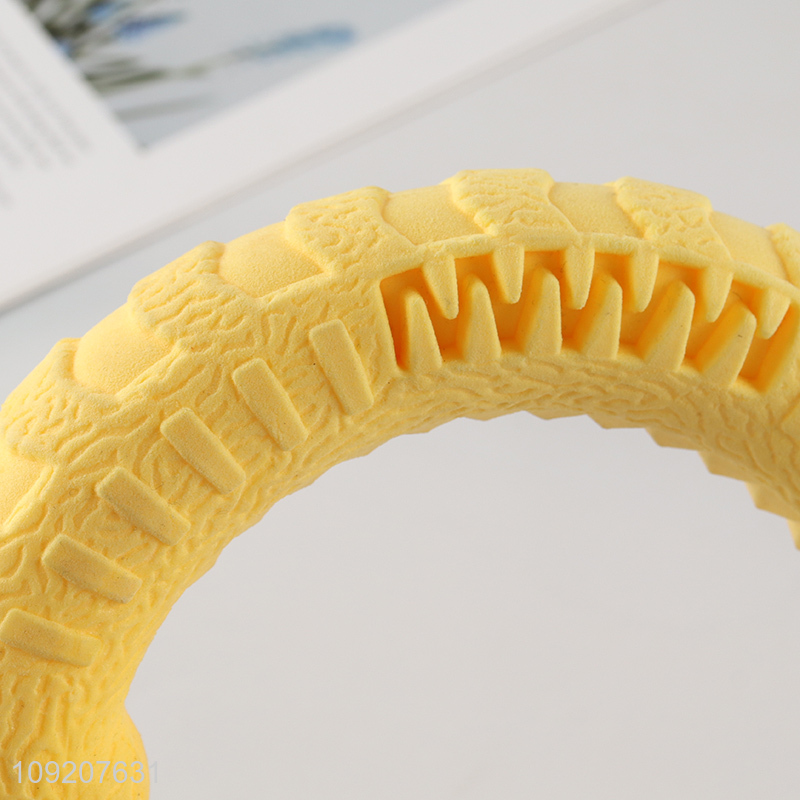 Hot Selling Dog Chew Toy Interactive Dog Training Toy